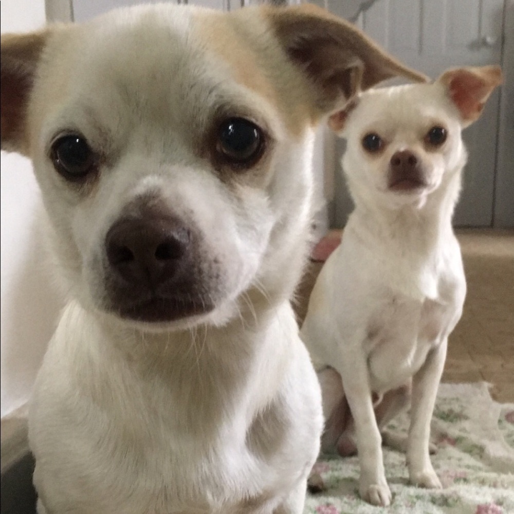 Meet your Posher, Kelsey